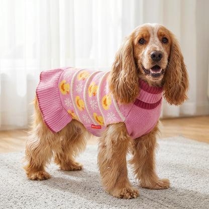 Brown long haired dog indoors wearing a pink duck dress with ribbed skirt