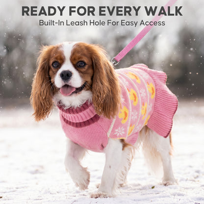 Brown and white dog in snowy scene wearing pink duck dress with leash attached